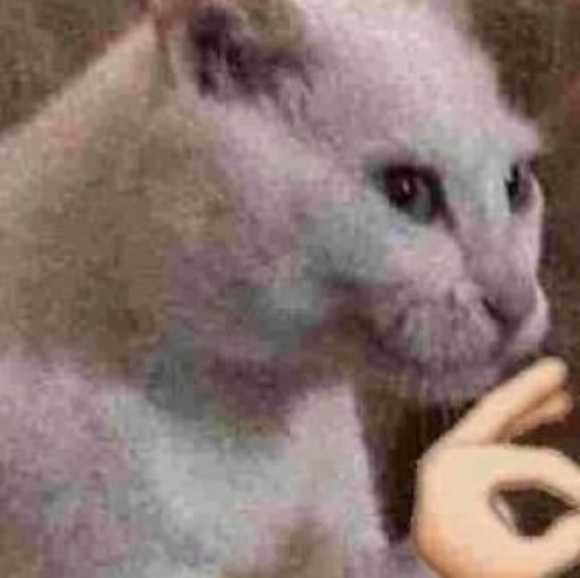 Poshmark profile picture for @sedatives